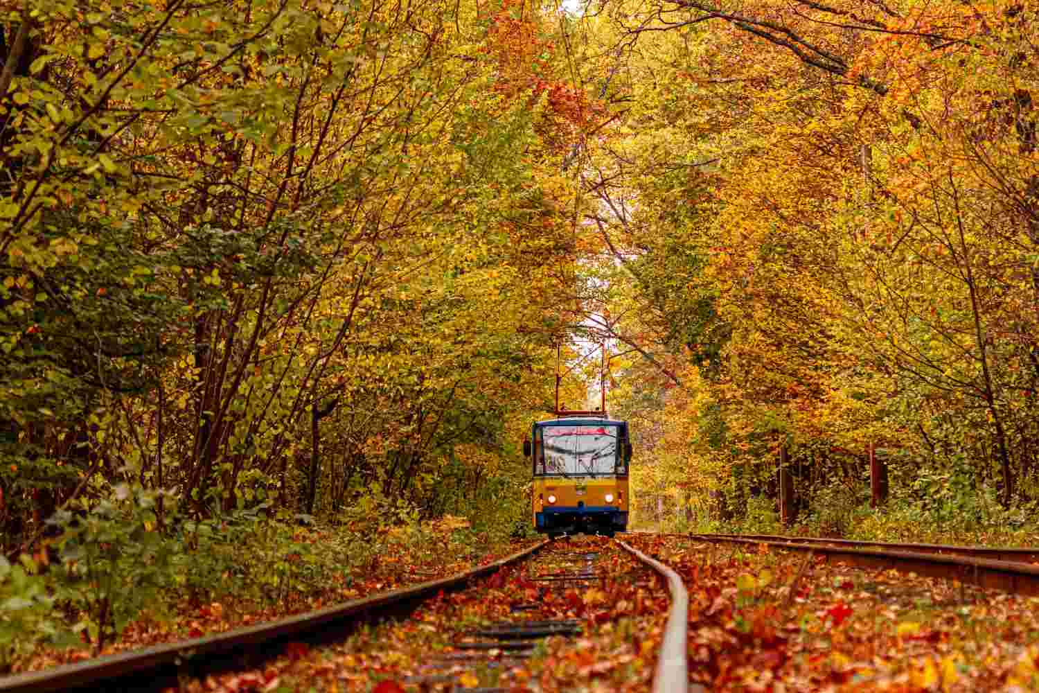 Einschränkungen im Zugverkehr während der Herbstferien
